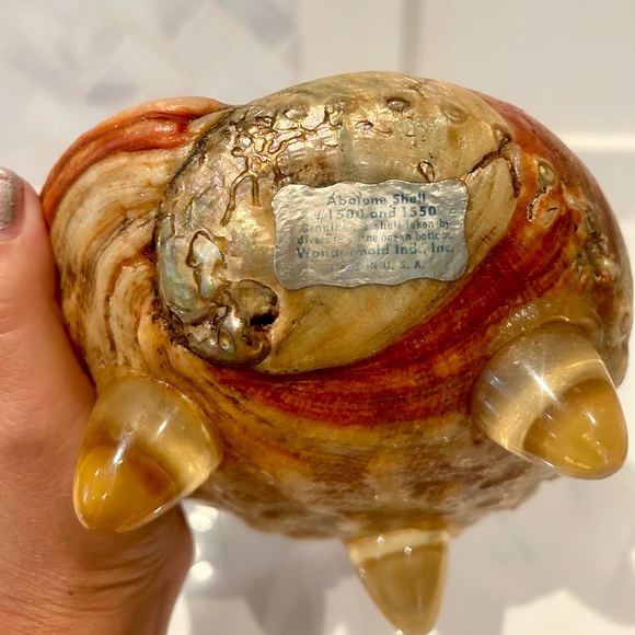 Genuine Abalone Shell Footed Bowl from the 1960's - Picture 10 of 12